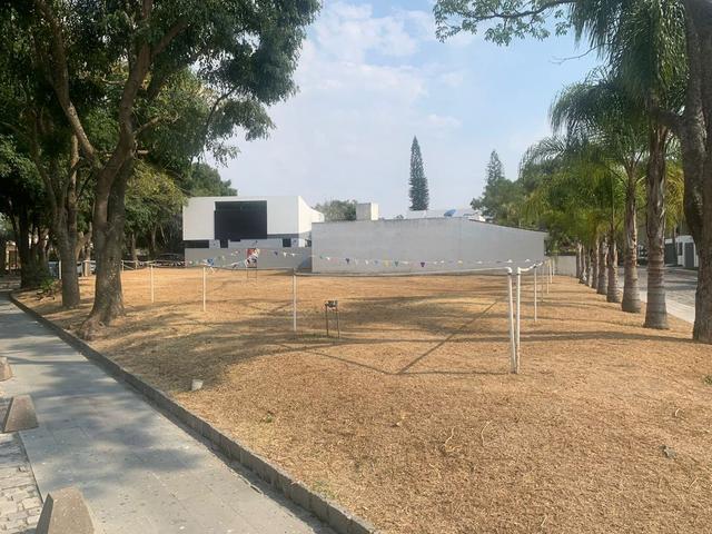 Foto de la galeria de imagenes